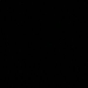 Meet your Posher, Patty